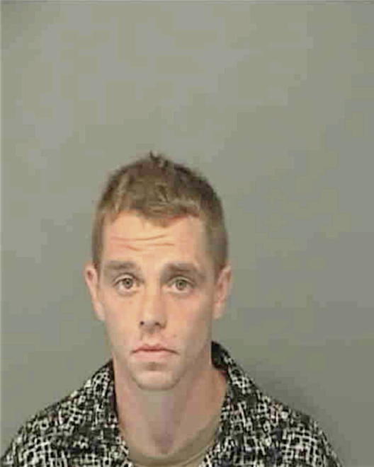 HALSTED, MICHAEL PAUL - Peoria County, IL