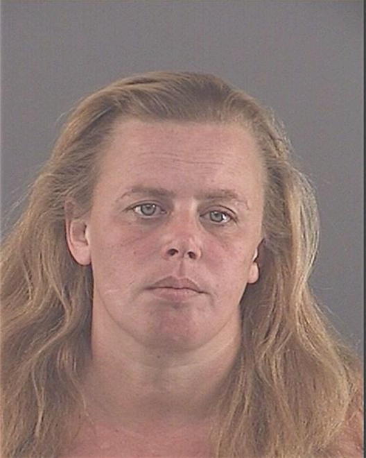 WALSH, ERIN S - Peoria County, IL
