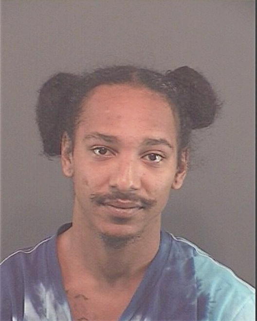 WATSON, DONAVEN J - Peoria County, IL