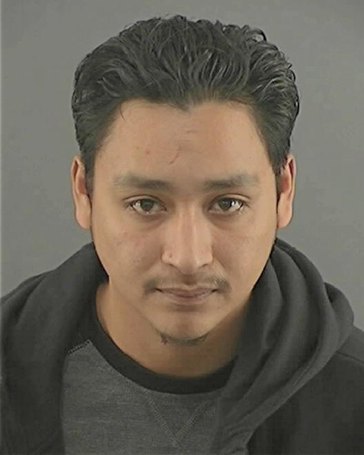 PICENO, EDGAR EDUARDO - Peoria County, IL
