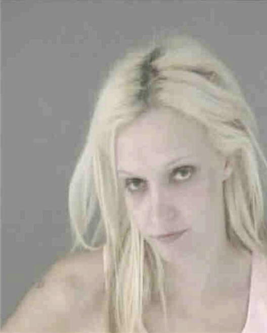 LUNGWITZ, CHRISTINA DIANE - Peoria County, IL