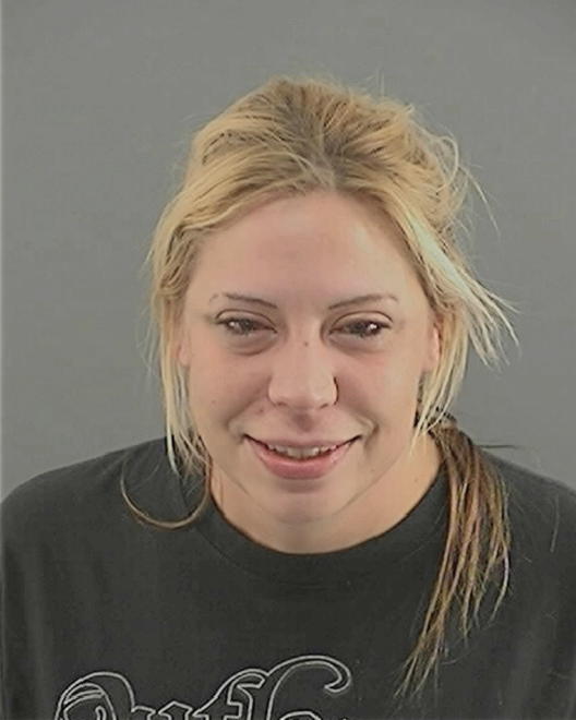 SCHICK, DIANA MARIE - Peoria County, IL