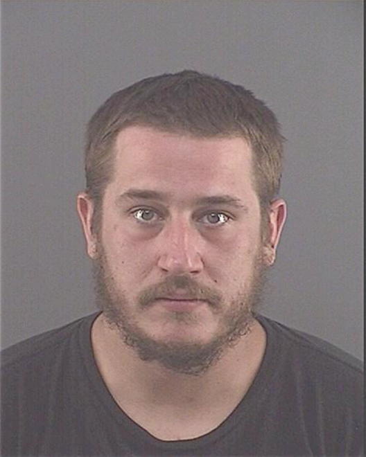 DIPASQUALE, BRANDON ALLAN - Peoria County, IL