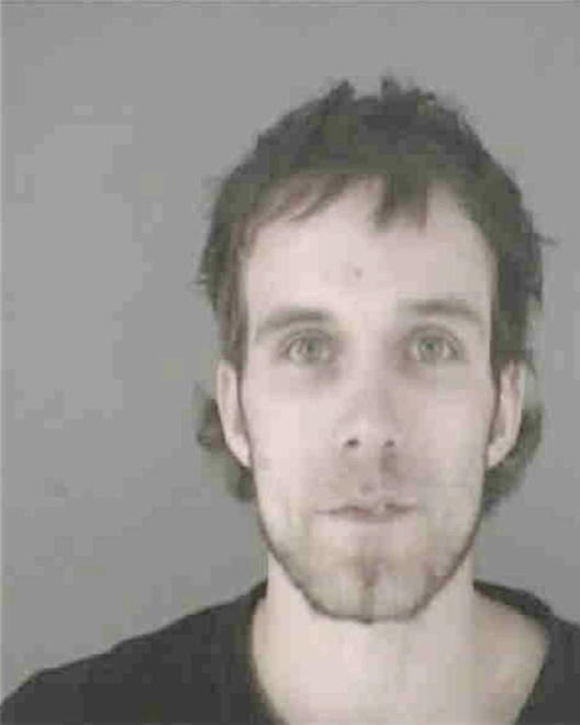 PEDROZA, BRIAN ANTHONY - Peoria County, IL
