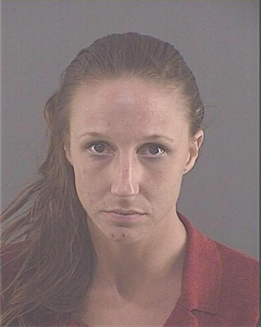 TAYLOR, JAMIE LEE - Peoria County, IL