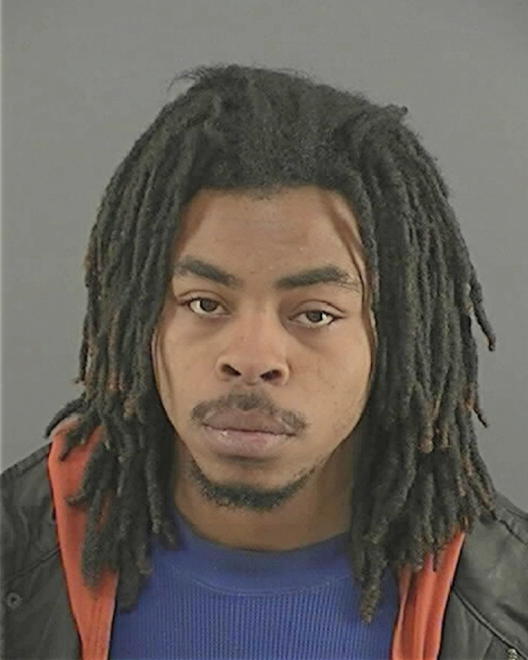 ERVING, TROY T - Peoria County, IL