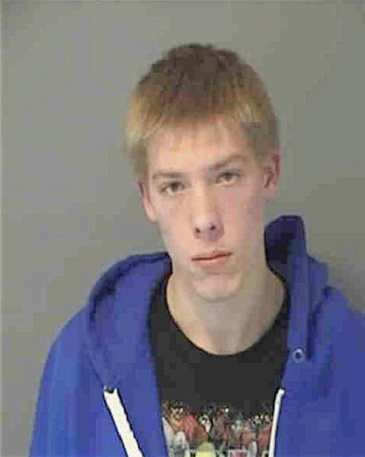 HARRISON, ANDREW GEVAUER - Peoria County, IL