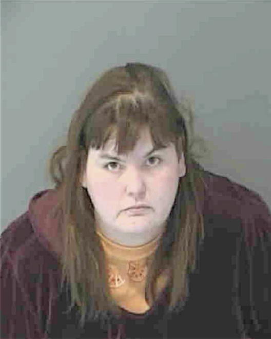 FIELDS, STACEY LEE - Peoria County, IL