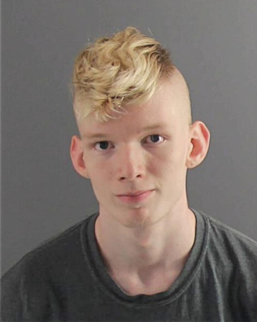 LARGE, JONATHON DAVID - Peoria County, IL