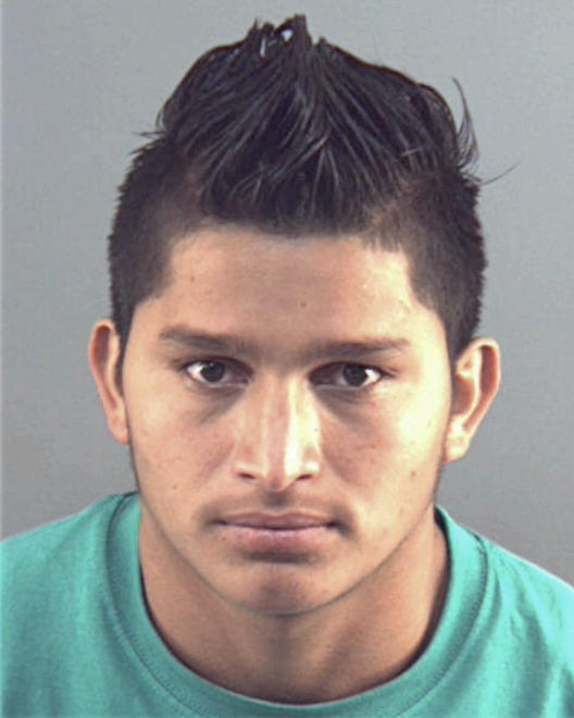 MEJIA, JHONNY MORALES - Peoria County, IL