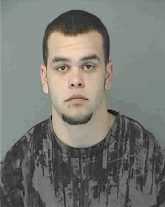ROBINSON, BRANDON JOHN - Peoria County, IL