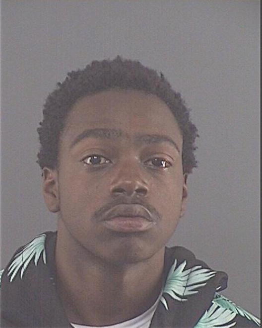 WILCOX, STEVEN - Peoria County, IL