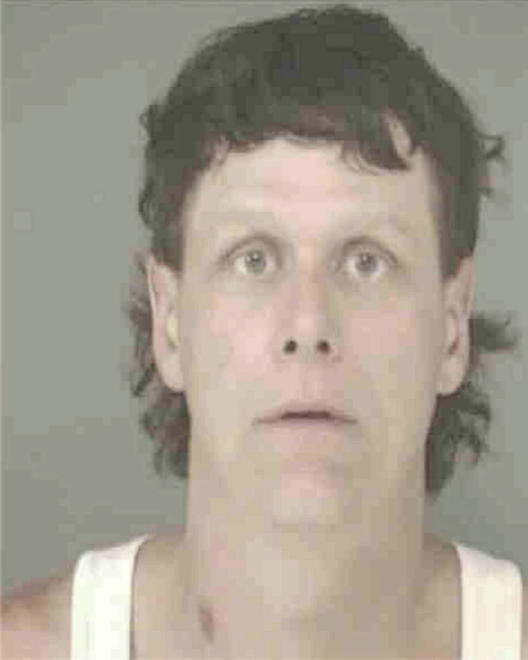 BRIDGES, MICHAEL ALAN - Peoria County, IL