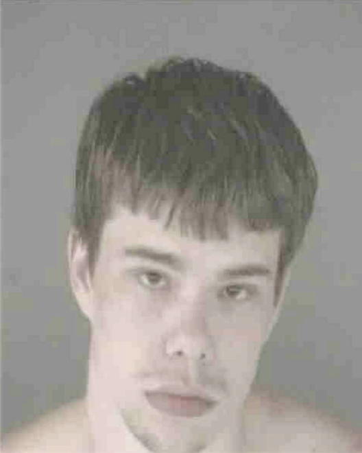 STOUT, WILLIAM BERNARD - Peoria County, IL