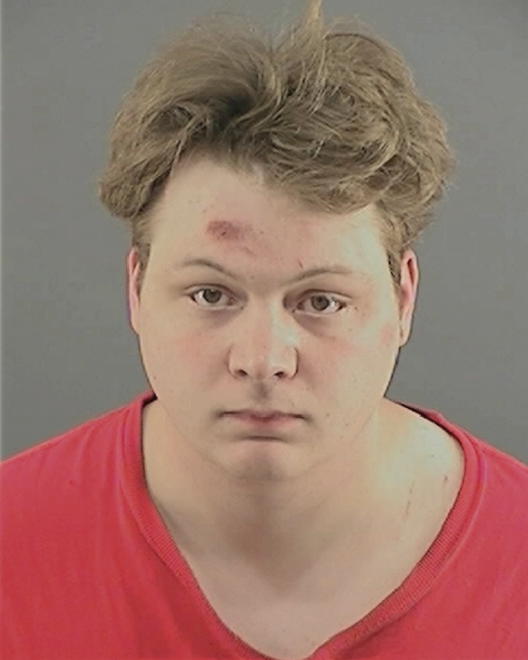 HART, MITCHELL S - Peoria County, IL