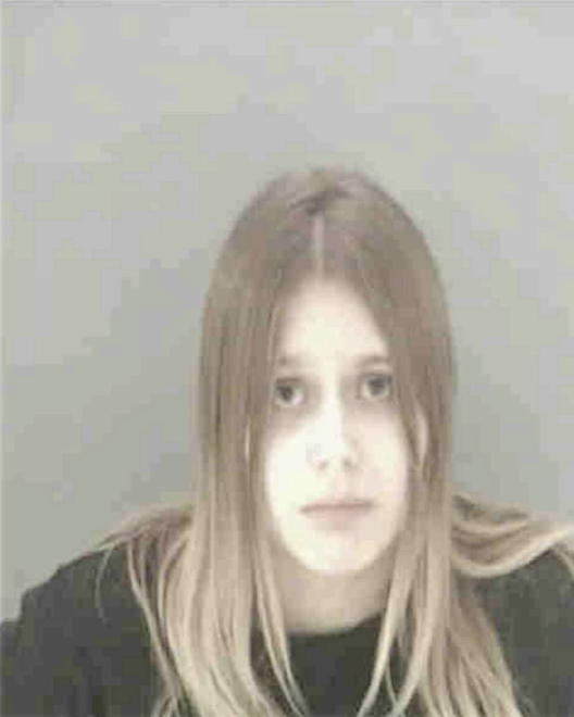HUTCHINSON, NICOLE LYNN - Peoria County, IL