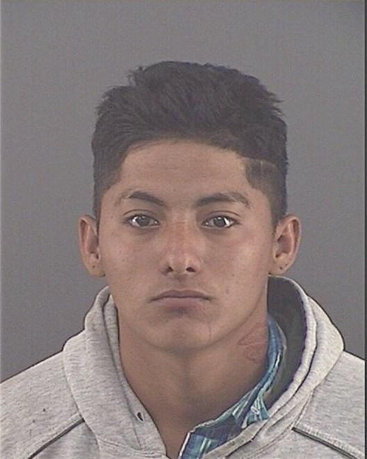 IRAHETA-CEDILLO, MELVIN ADALID - Peoria County, IL