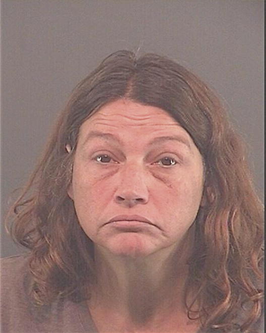 JOHNSON, TAMMY SUE - Peoria County, IL