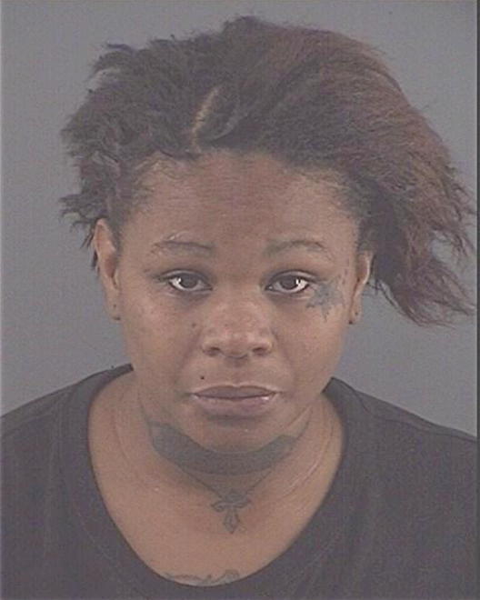 STELIVAN, EBONIE SHERILL - Peoria County, IL