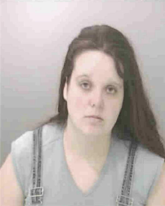 HALL, NICOLE DEANN - Peoria County, IL
