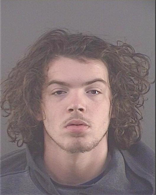 SEARLE, ROBERT MICHAEL - Peoria County, IL