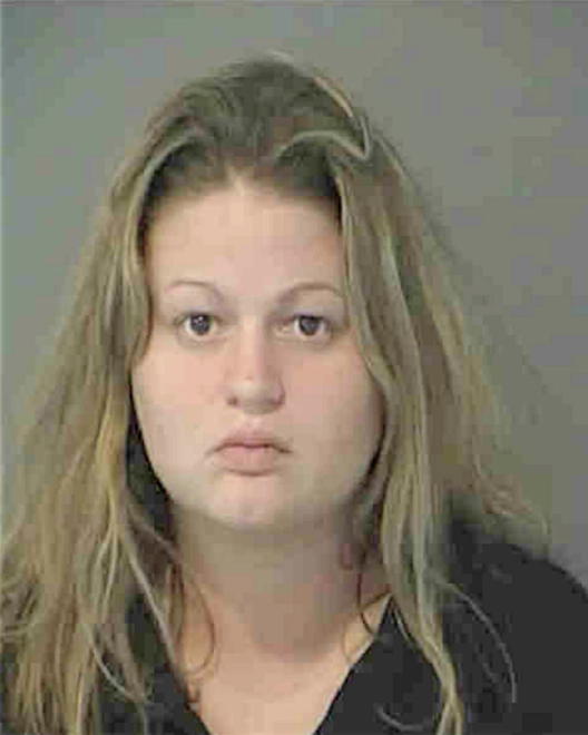 DINGLEDINE, AMY LYNN - Peoria County, IL