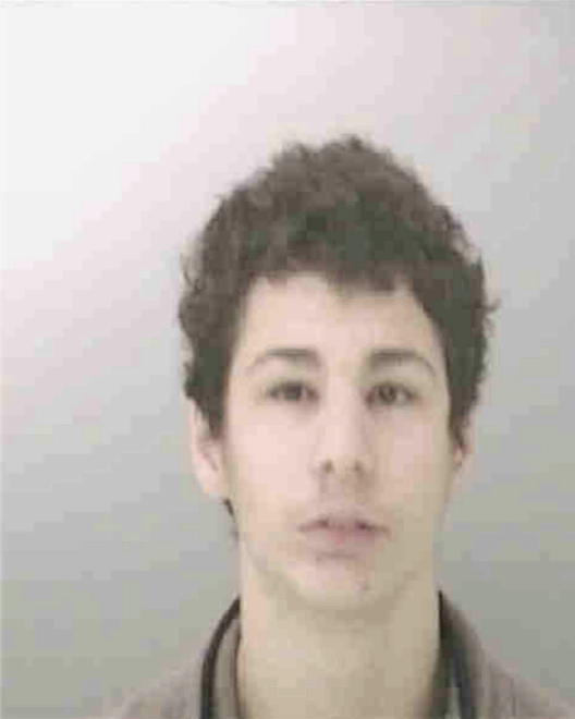 SEPULVEDA, ROBERT JOHN - Peoria County, IL
