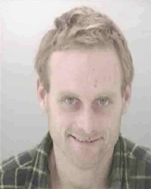 WILLIAMSON, HOWARD GARY - Peoria County, IL