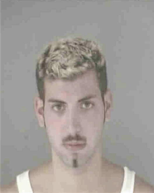 GUZMAN, RYAN KRISTOPHER - Peoria County, IL