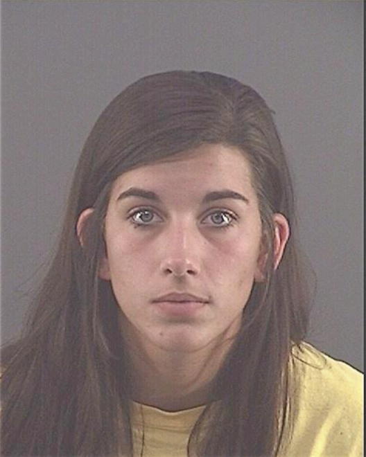 LEMONS, TAYLOR N - Peoria County, IL