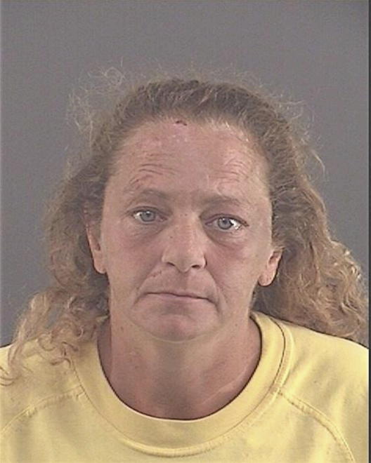 YEDINAK, THERESA LYNN - Peoria County, IL
