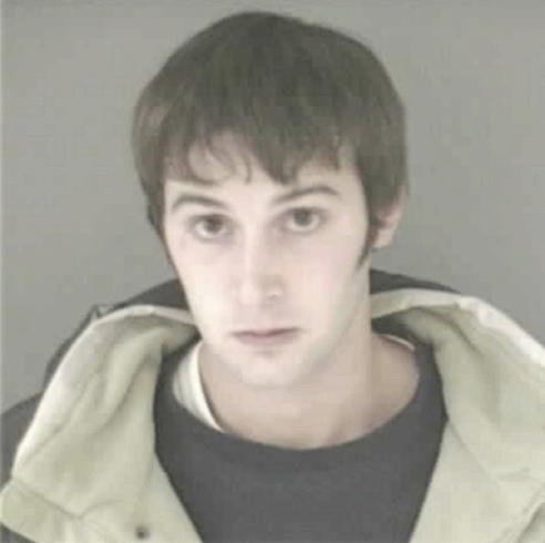 LOHNES, BRANDON M - Peoria County, IL