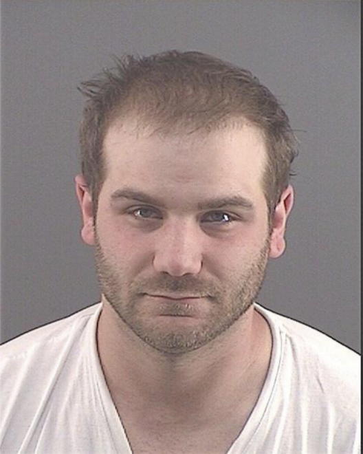 HARTNESS, CHRISTOPHER RYAN - Peoria County, IL
