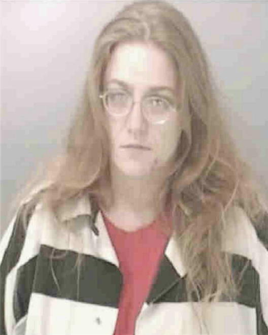 SON, MICHELLE LAVONN - Peoria County, IL