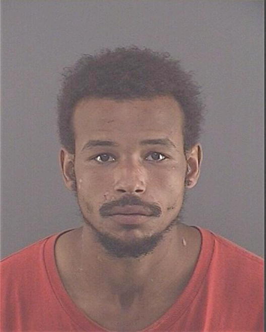 POLNITZ, NATHANIEL H - Peoria County, IL