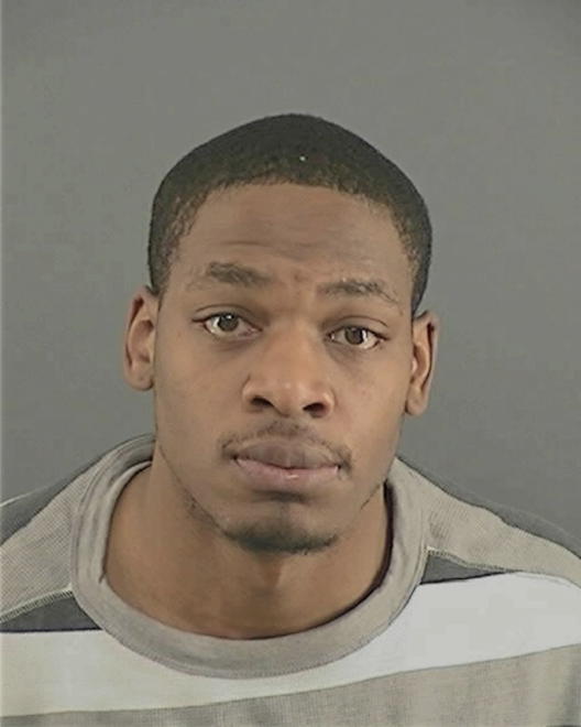 BRADLEY, TERRENCE MATTHEW - Peoria County, IL
