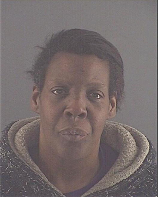 HOLLINS, CAROLYN - Peoria County, IL