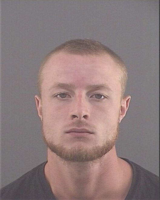 WALSH, ANDREW TYLER - Peoria County, IL
