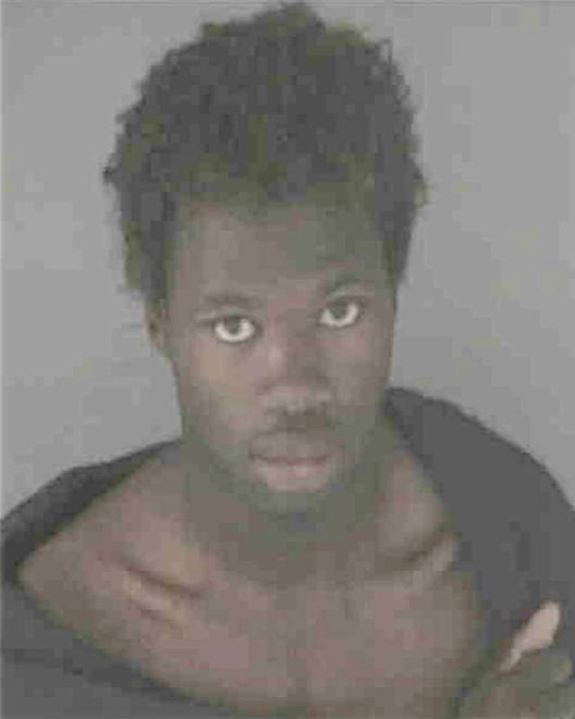 GARLAND, DEMETRICE A - Peoria County, IL