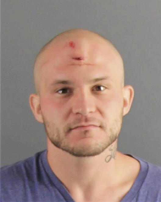 BRONSON, DAVID LEE - Peoria County, IL
