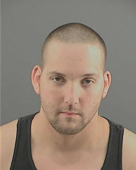 BRIDGEMAN, DANNY JOE - Peoria County, IL