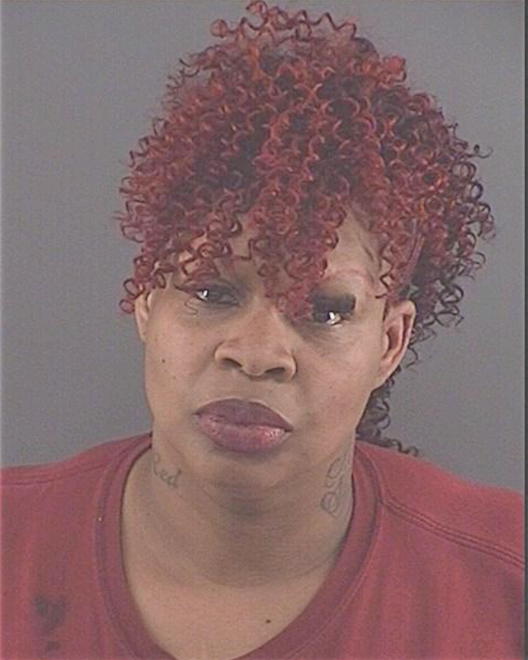 LOVE, TOMEKEA L - Peoria County, IL