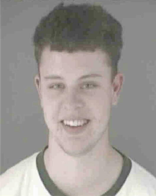 STROMSON, RYAN M - Peoria County, IL