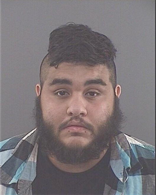 VILLARREAL, REYNALDO - Peoria County, IL