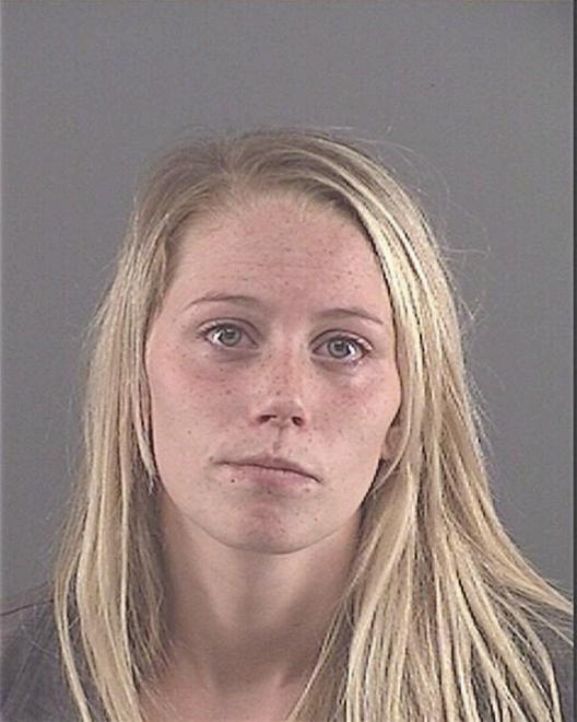 SMITH, BRITTANY N - Peoria County, IL