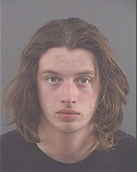 PARK-HANNEMAN, ALEX CRAWFORD - Peoria County, IL