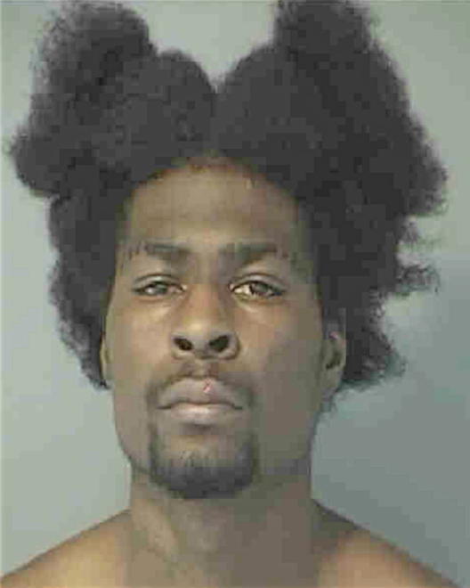 ARMSTEAD, DAVID - Peoria County, IL
