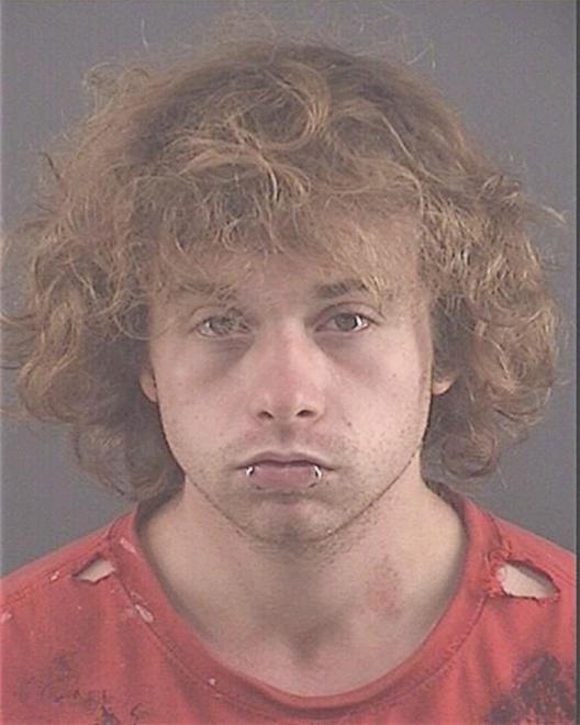 MERRITT, TYLER A - Peoria County, IL
