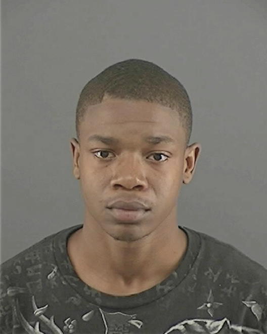 WELLS, DECARLOS J - Peoria County, IL