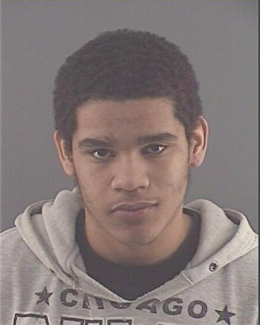 MARSHALL, TERRENCE - Peoria County, IL